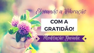 Elevando a vibração com a Gratidão