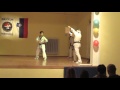 TAEKWONDO DEMONSTRACIJA 10