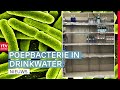Drinkwater besmet, boswachters naar Den Haag & zwarte goud Schoonebeek | Drenthe Nu