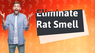 What is the fastest way to get rid of a dead rat smell?