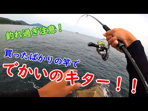 Спиннинг Daiwa 19 Emeraldas Stoist AGS 82MHH, 249 см, 8-38 г