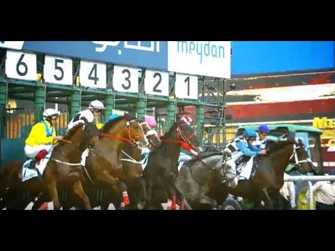 Dubai World Cup 2018 (Meydan) – Teaser