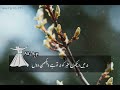 Aisi Doobi Prem Ke Rang Mein Sanson Ki Mala Qawaal Ustad Nusrat Fateh Ali Khan Alifayn9075