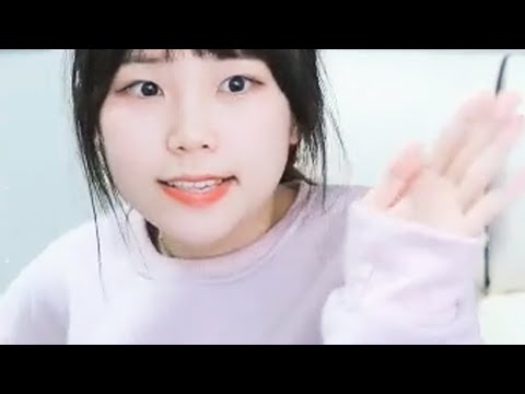 아이콘