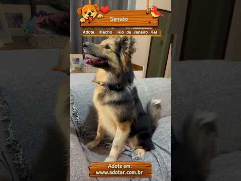 Vídeo de Sansão