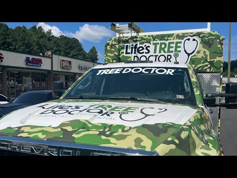 Life's Tree Doctor, LLC YouTube video thumbnail 14