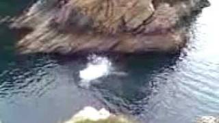 preview picture of video 'Diving - Rock Jump - Cliff Jump'