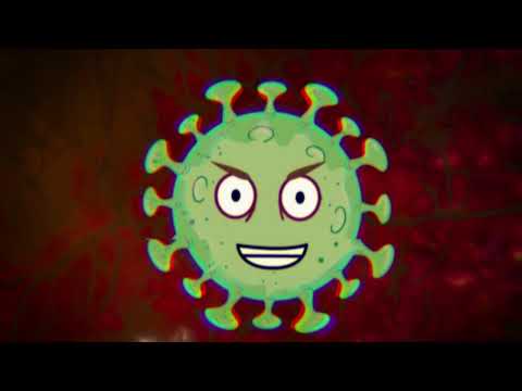 No OFFENCE! - Bacili (avdiovizualna izkušnja)