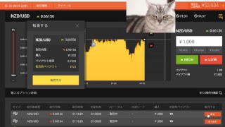 【FX】1万円から始める為替取引【BO】57