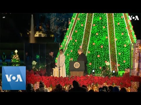 Trumps Light National Christmas Tree in DC