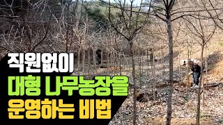 직원없이 대형농장을 운영하는 비법 | 나무대장