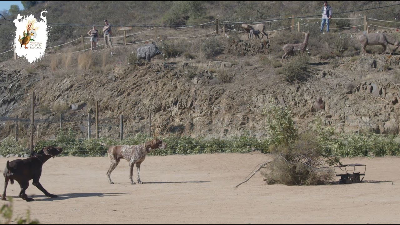 XVI Feira da Caça de Mértola (Spot Promocional)