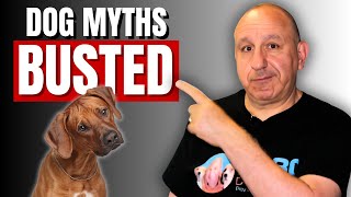 STOP Believing These 5 Dog Training Lies About Stubborn Breeds!