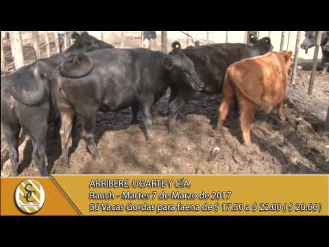 07-03-17 venta de gordos - Arribere, Ugarte y Cía. - Rauch