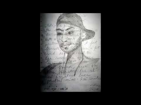 04 zmeu' ninja' - fericire prod zmeu' ninja'