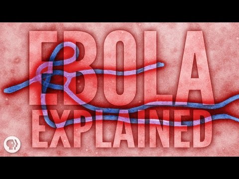 埃博拉：完整的故事 (Ebola: The Full Story)