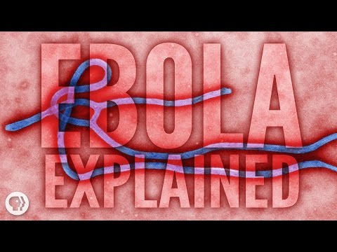 Ebola Explained Video