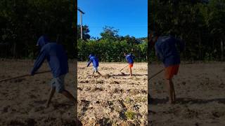 O suor na terra é o que faz o campo prosperar. #shortvideo #shorts #shortsfeed #short #shortsviral