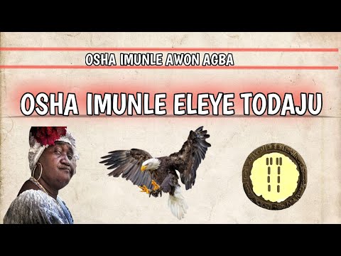 OSHA IMUNLE ELEYE TODAJU @Dromoodoagbatv