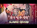 সাঁত পাকে বাঁধা | Bolo Piya Bolo Na (Slowed & Reverb) ❤️ | Bengali Romantic Lofi | Iswar 0