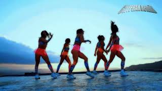 Dire Straits - Money For Nothing (Remix) 💥💃🎆 shuffle & twerk dance mix