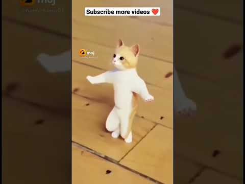 new video 🤣 funny video animals funny reaction 🤣 video #funny #comedy #youtubeshorts