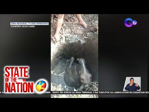 State of the Nation Part 3: Kabayo sa septic tank; Underwater Maternity Photoshoot; Atbp.