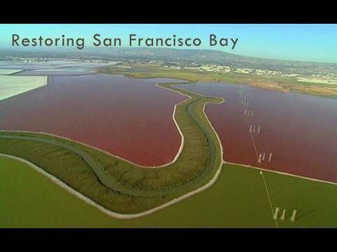 Saving the Bay - Restoring San Francisco Bay: The Role of Historical Maps