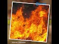 Mengidap Gangguan Kejiwaan Pria Asal Wonogiri Bakar Rumahnya Sendiri Seisi Rumah Nyaris Ludes