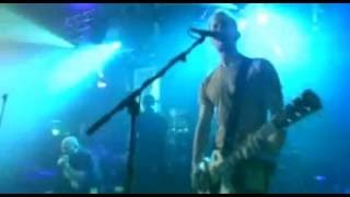 Earthtone 9   - Amnesia