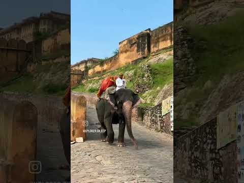 Rajasthan lover ## by  mahi