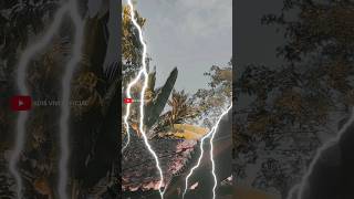 Download lagu detik detik pohon kelapa tersambar petir langsung roboh mp3