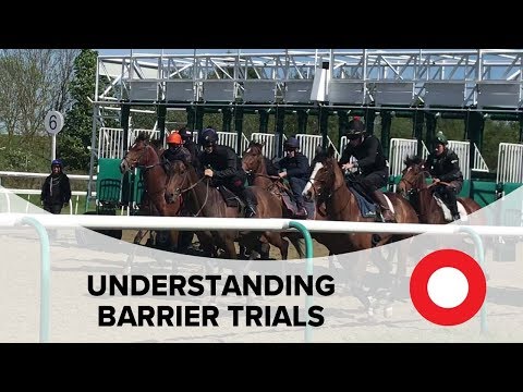 Barrier trials: Gary & Craig Witheford explain the process
