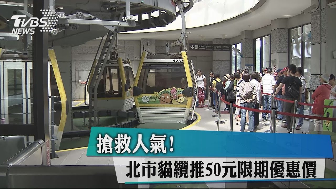 搶救人氣! 北市貓纜推50元限期優惠價