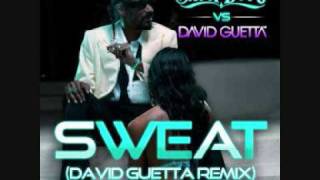 Snoop Dogg - I just wanna make you sweat (David Guetta Remix)