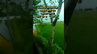 Download lagu #short|| pido'a kolot mp3