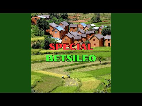 Leoko lavitsa (RAPROSY)