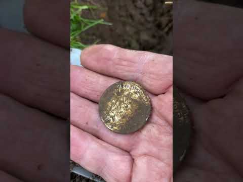 Thumbnail for 1947 Florin