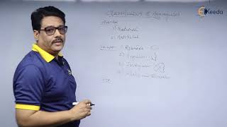 Classification of Aggregates