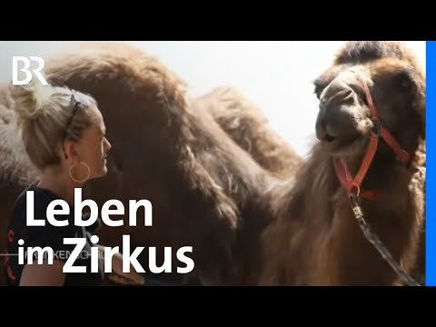 Ein Leben in der Manege: Circus Central | Aufwachsen im Zirkus | Frankenschau | BR