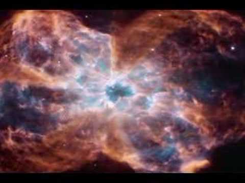 Thumbnail for Running Wild video