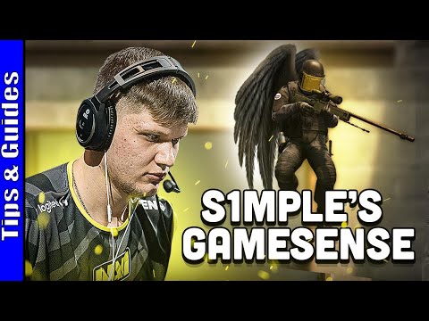 What You Can Learn From S1mple