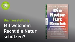 Video-Thumbnail von YouTube