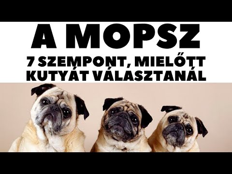 Melyek a hatékony tabletták a férgek felülvizsgálatához távolítsa el a férgeket a szemből