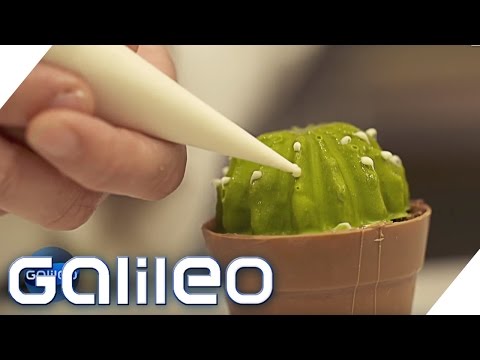 Dessert-Illusionen - Der essbare Kaktus | Galileo | ProSieben