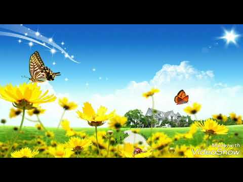 Kiribati Taukarawa R.I.P song