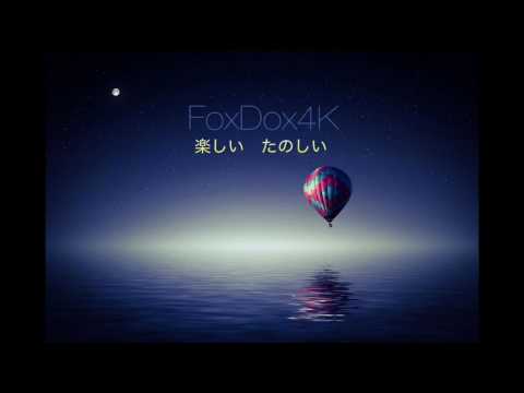 Mr. Polska ft. Ronnie Flex - Ravotten