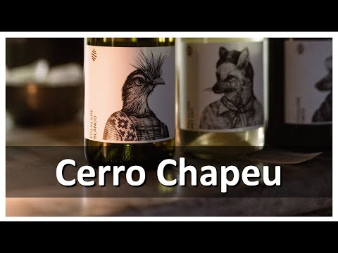 Enoturismo na Bodega Cerro Chapeu🍷#275