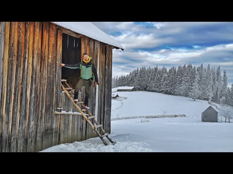 O noapte într-un loc neașteptat - VIA TRANSILVANICA ep 2