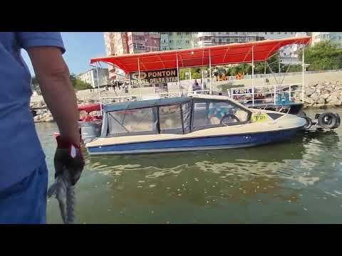 România, Delta Dunării, brațul Sulina, intrarea în portul Tulcea, Nava Rapidă Doina_03